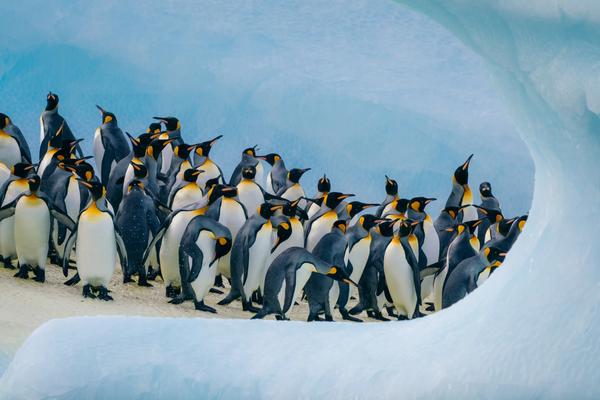 Antarctica