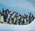 ANTARCTICA